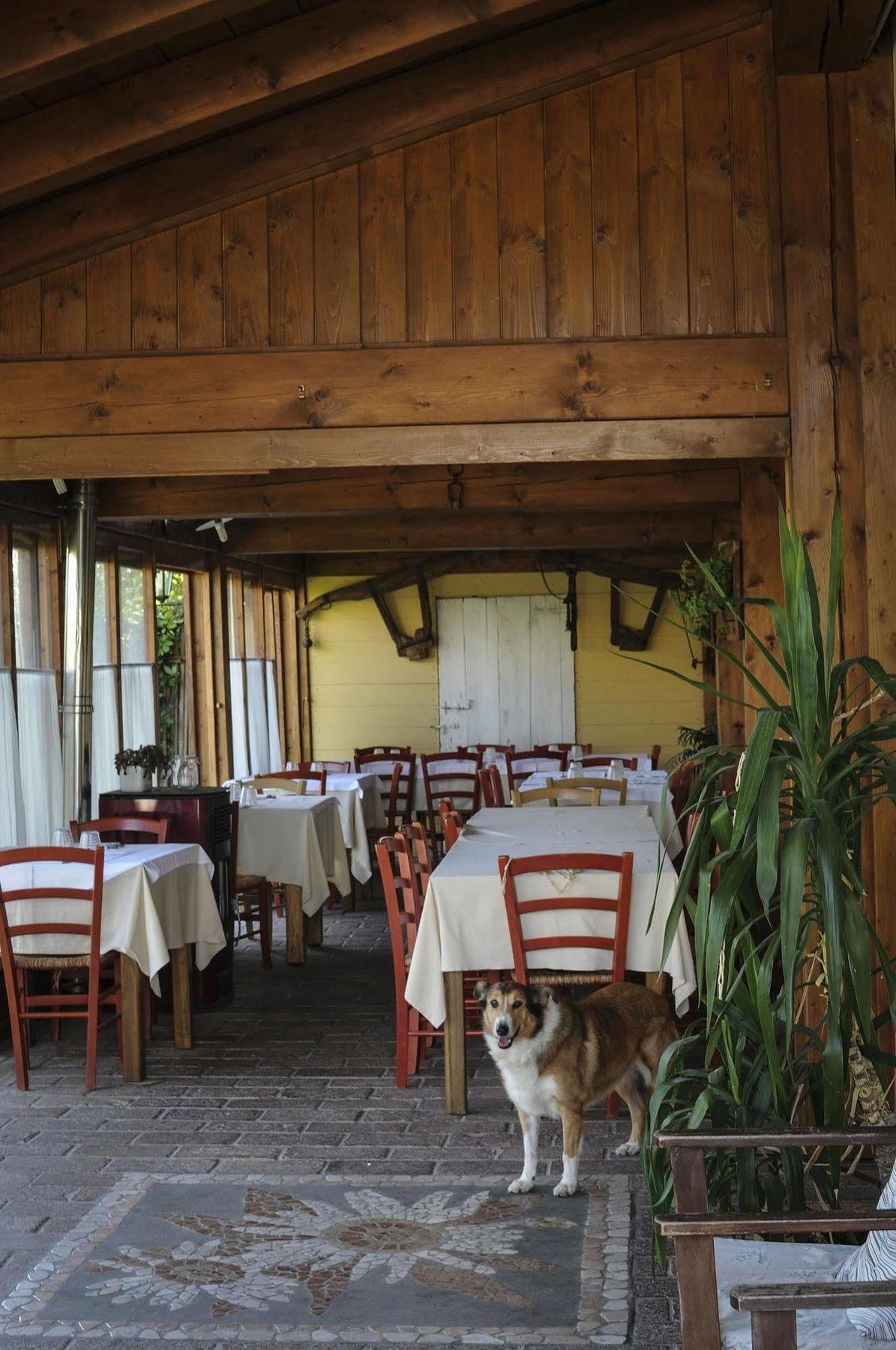 Locanda Merlaschio Faenza Exterior foto
